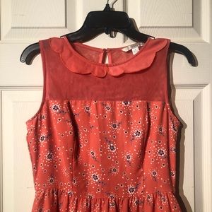 SALE‼️ Lauren Conrad Peter Pan Collar Dress